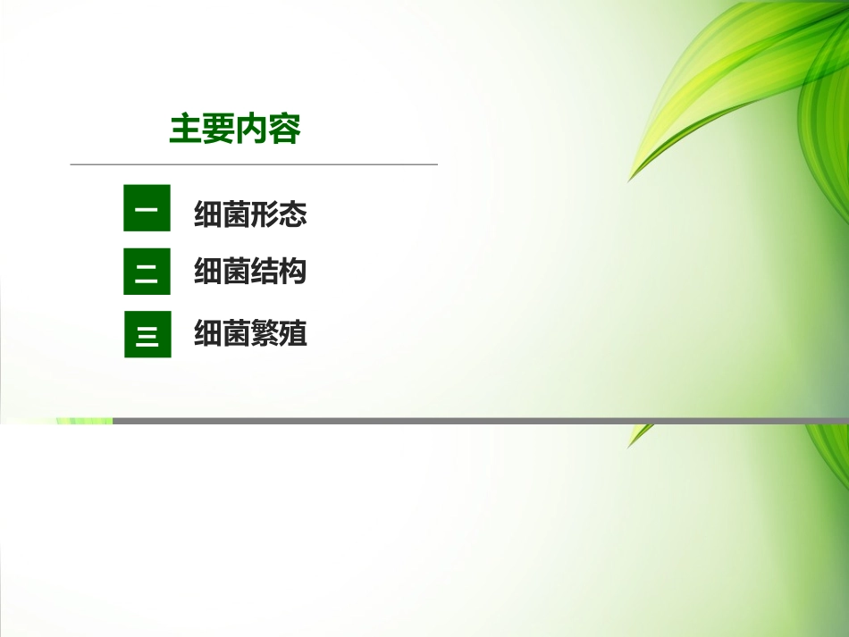细菌形态结构._第2页