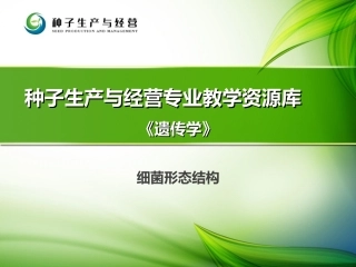 细菌形态结构.