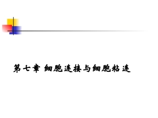 细胞连接与细胞粘连