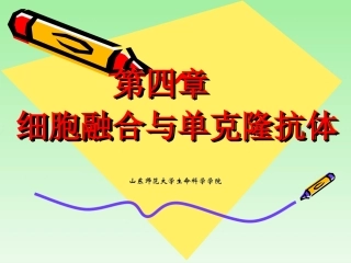 细胞融合与单克隆抗体