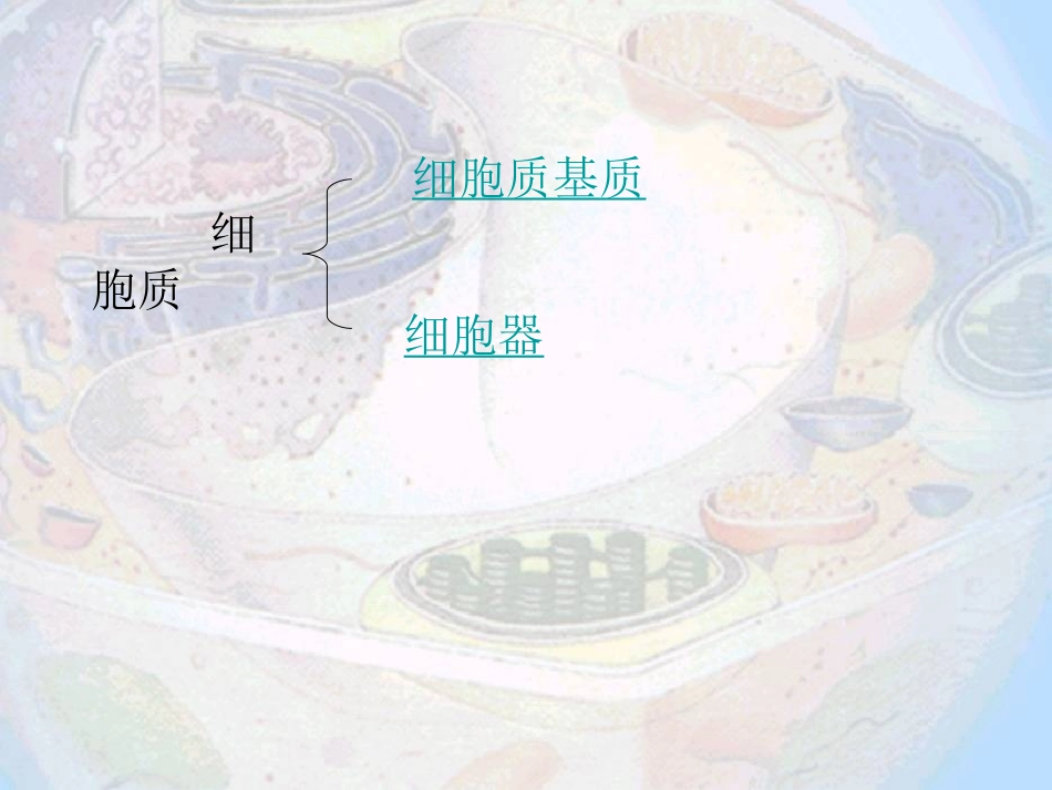 细胞质内部结构_第2页