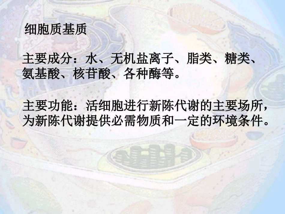 细胞质内部结构_第3页