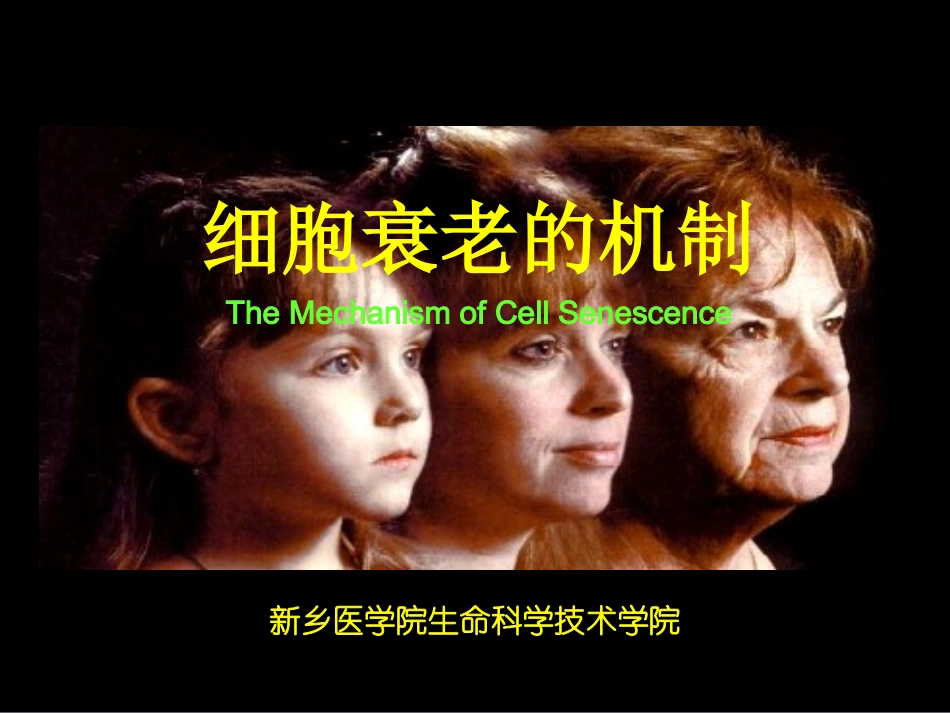 细胞衰老机制_第1页