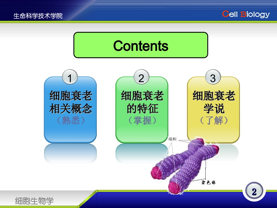 细胞衰老机制_第2页