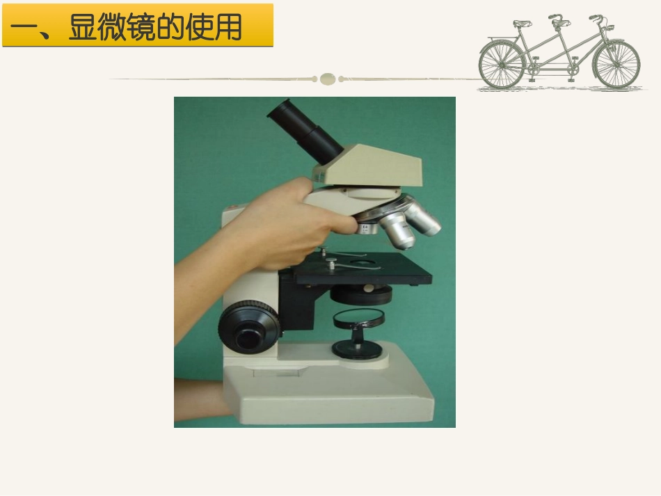 细胞膜细胞质细胞核思考_第2页