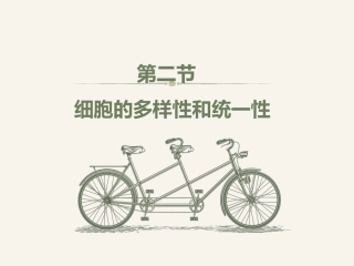 细胞膜细胞质细胞核思考