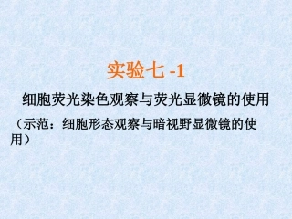 细胞荧光染色观察与