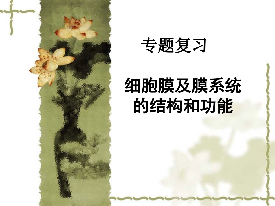 细胞膜及膜系统的结构和功能全解_第1页