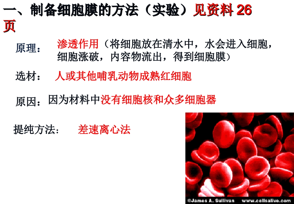 细胞膜一轮复习-细胞膜的结构与功能-M_第2页