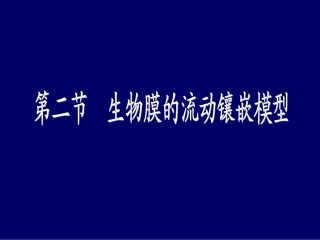 细胞膜的镶嵌流动模型