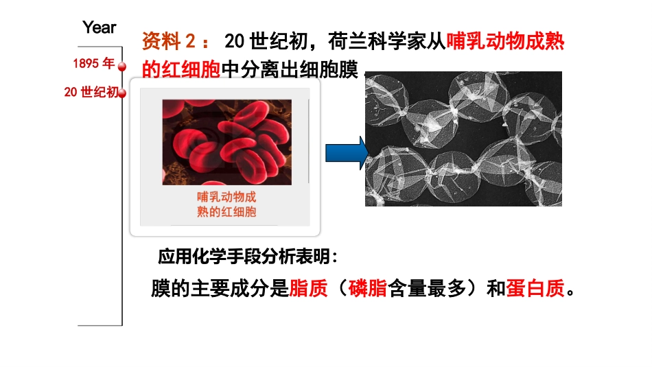 细胞膜的探究历程_第3页