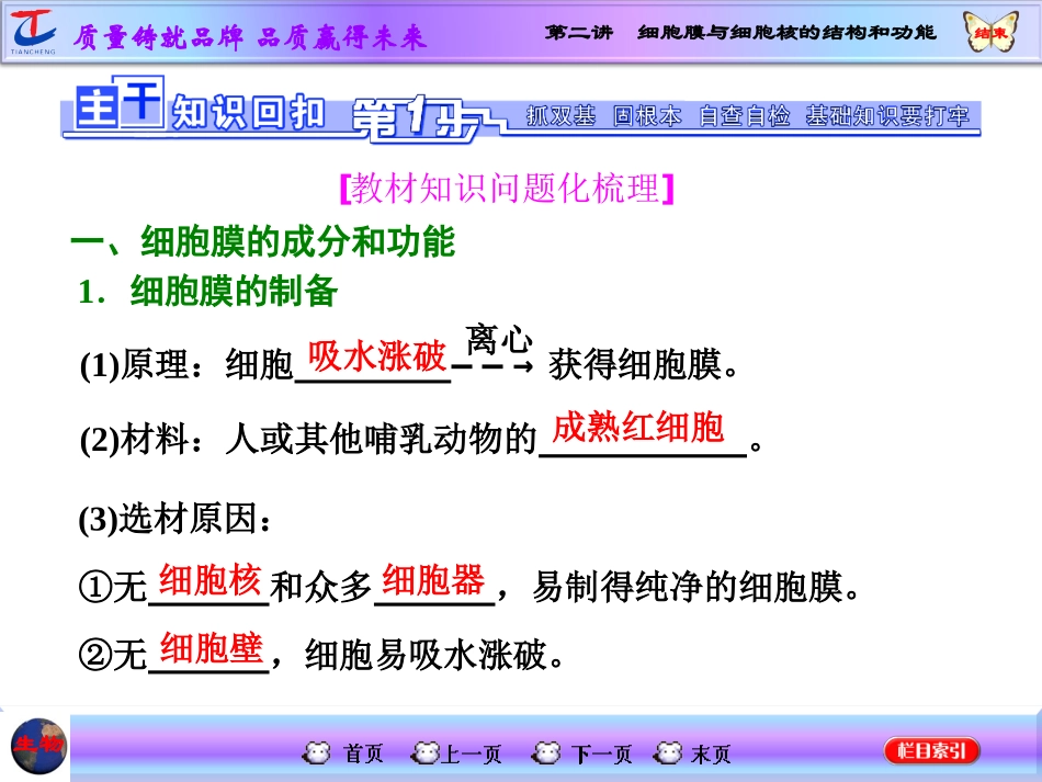 细胞膜与细胞核的结构和功能_第1页