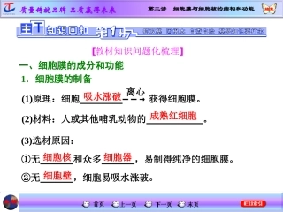 细胞膜与细胞核的结构和功能