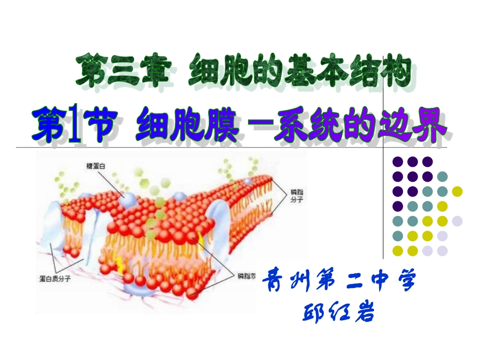 细胞膜——系统边界_第1页