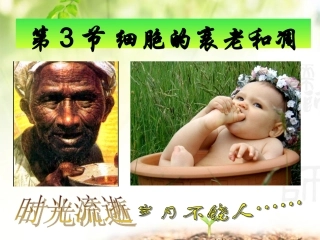 细胞的衰老癌变