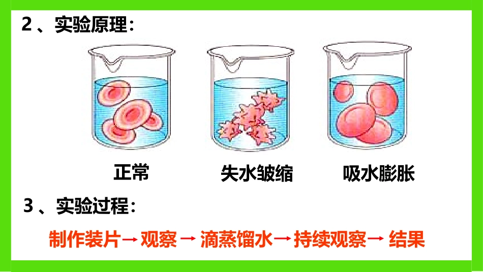 细胞膜-系统的边界(新课用)_第3页