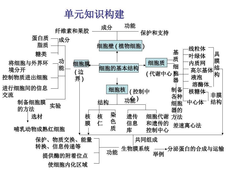 细胞结构基础)_第2页