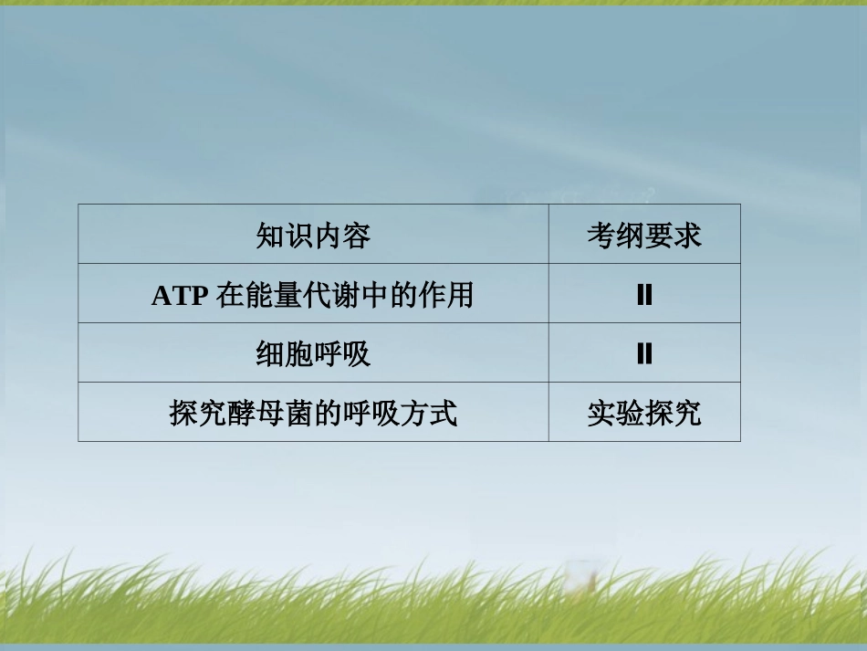 细胞的能量供应和利用_第2页