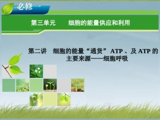 细胞的能量供应和利用