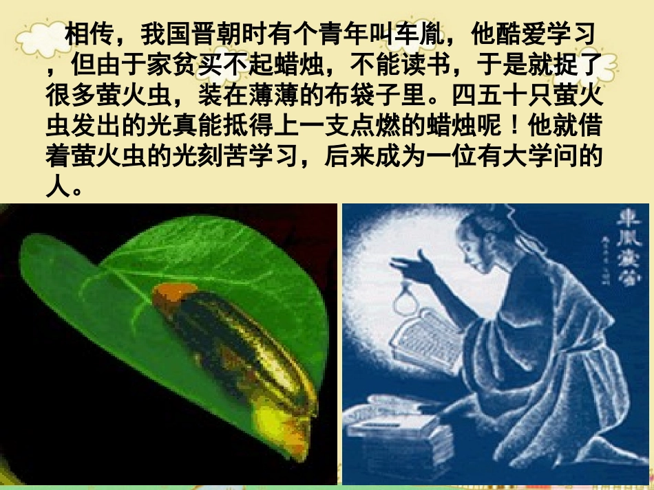 细胞的能量“通货”_第2页