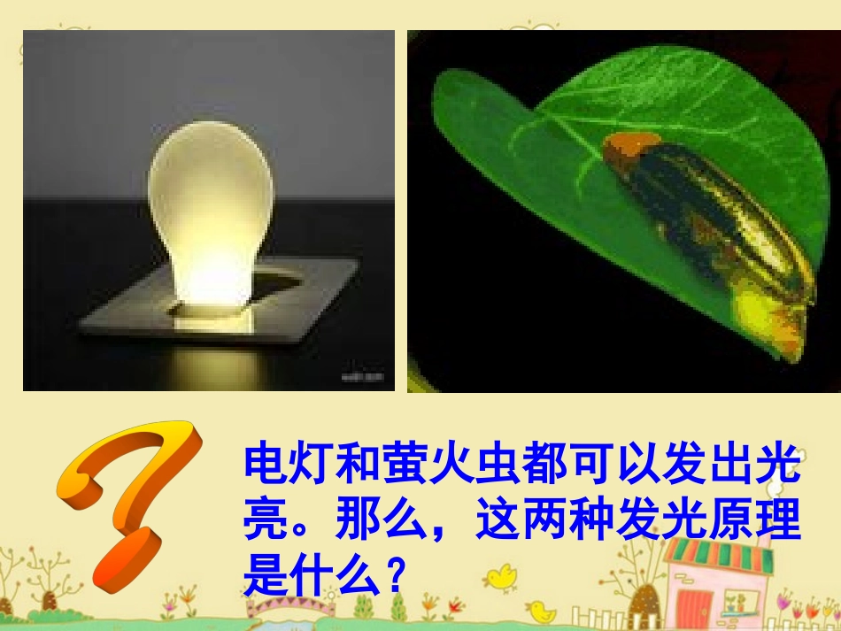 细胞的能量“通货”_第3页