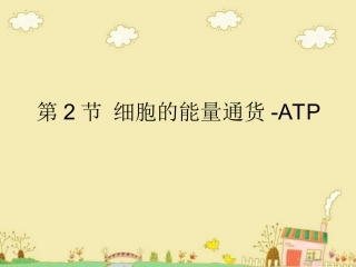 细胞的能量“通货”