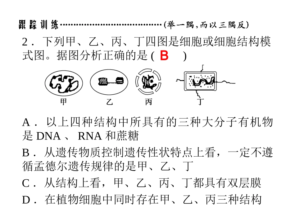 细胞的结构基础_第3页