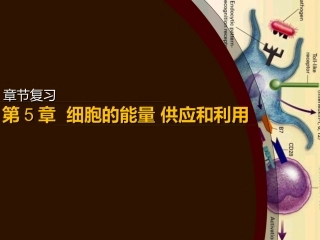 细胞的能量供应和利用