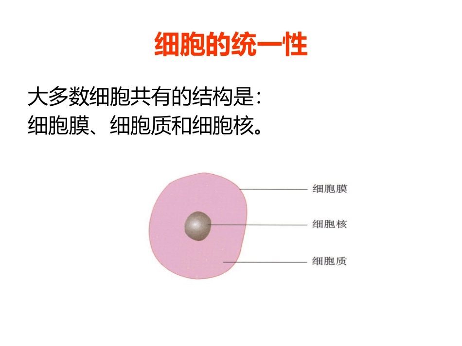 细胞的多样性和统一性_第3页