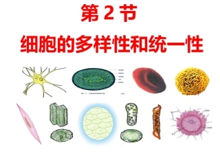 细胞的多样性和统一性
