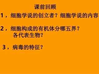细胞的形态结构功能.
