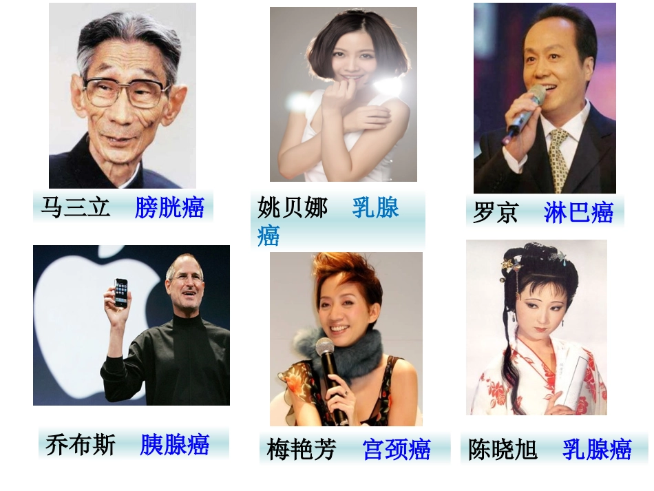 细胞的癌变LX课_第3页