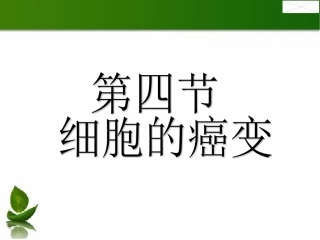 细胞的癌变LX课