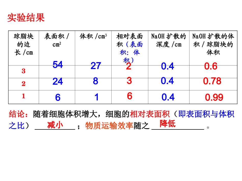 细胞的增殖一轮复习_第3页