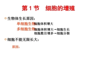 细胞的增殖一轮复习