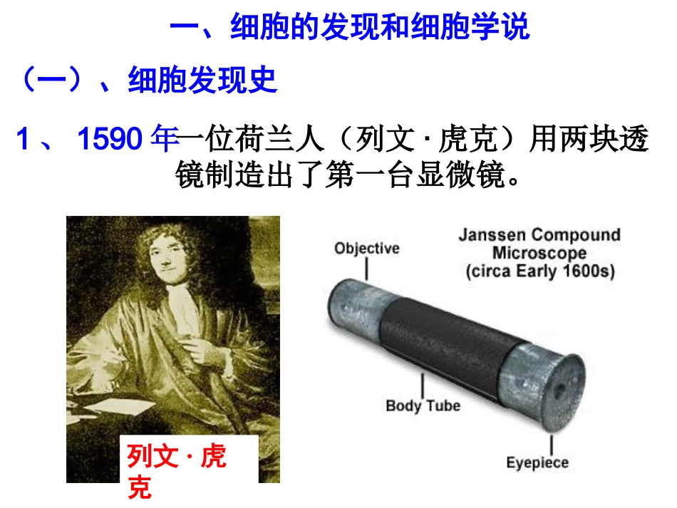 细胞的发现及结构_第3页