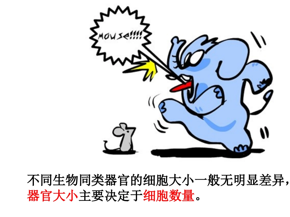 细胞的增殖(有动画)_第3页