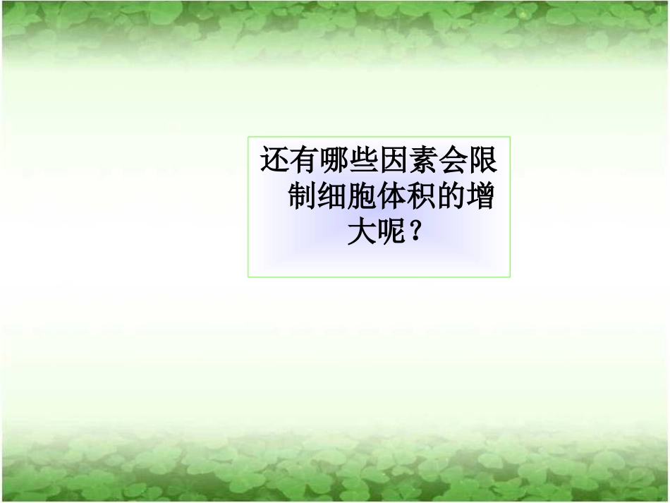 细胞的增殖课时_第3页