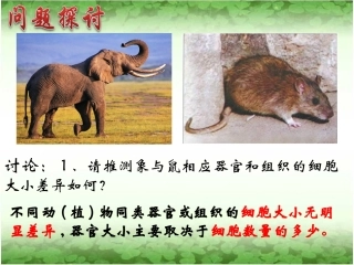 细胞的增殖课时