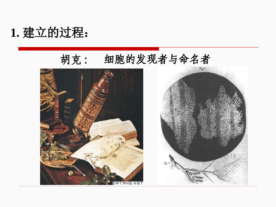 细胞概述(新)_第2页