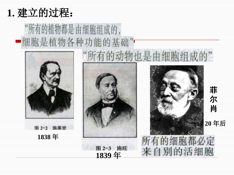 细胞概述(新)_第3页