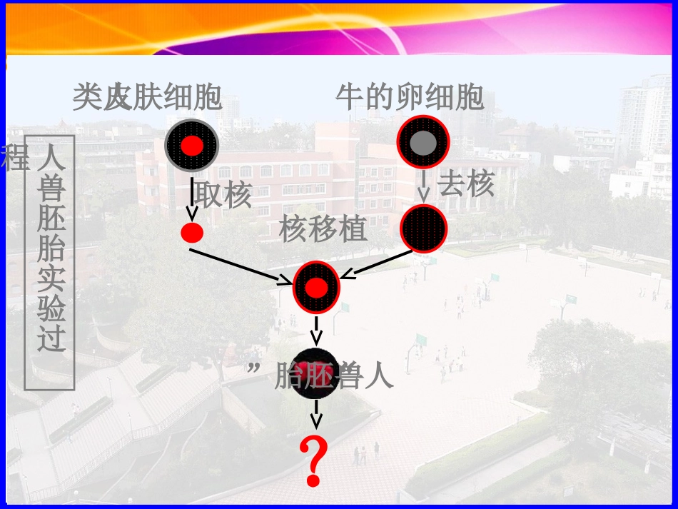 细胞核—系统的控制中心-陈姣公开课_第1页