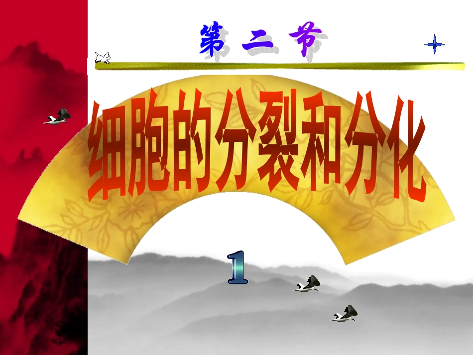 细胞的分裂观察变形虫的细胞分裂_第2页