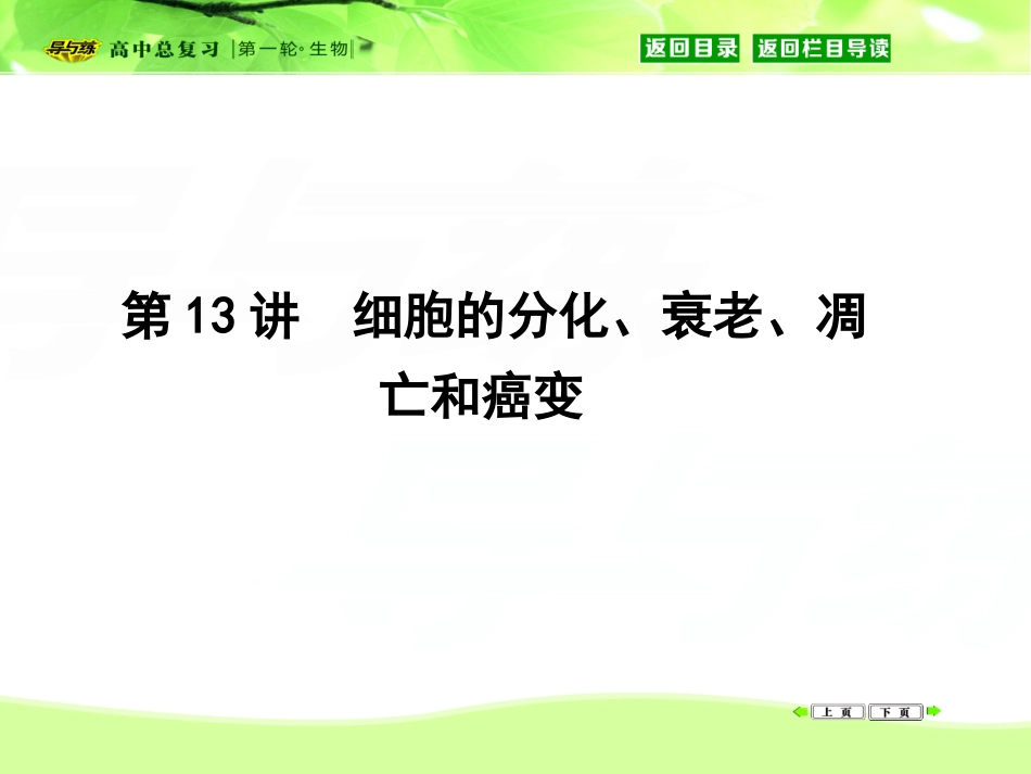 细胞核的变化细胞凋亡1概念_第1页