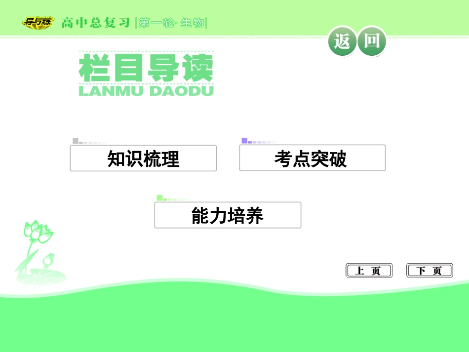 细胞核的变化细胞凋亡1概念_第3页