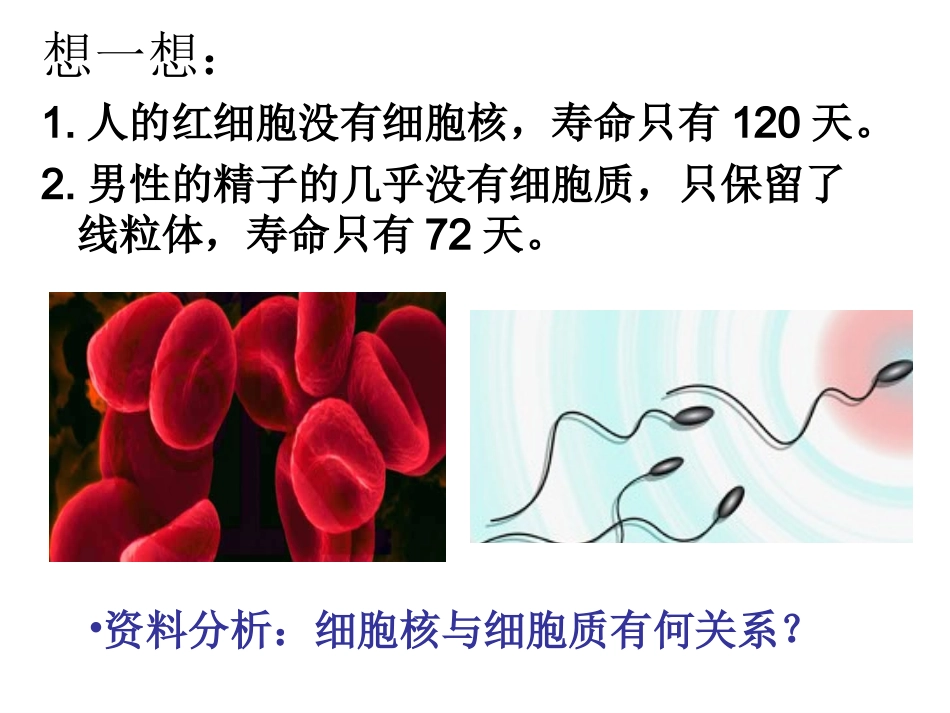 细胞核的结构和功能_第3页