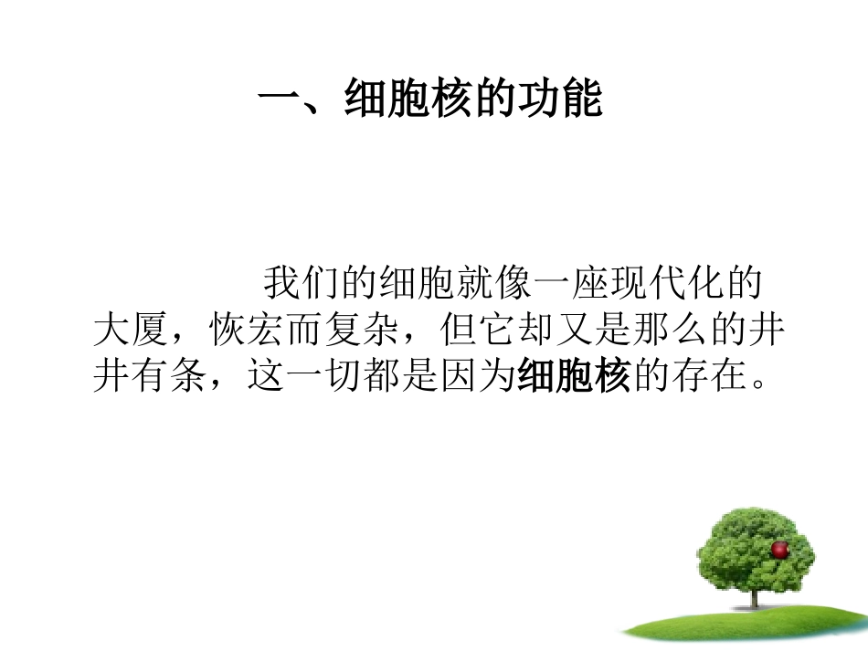 细胞核系统的调控中心(精)_第2页