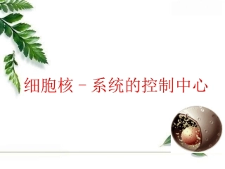 细胞核说课稿