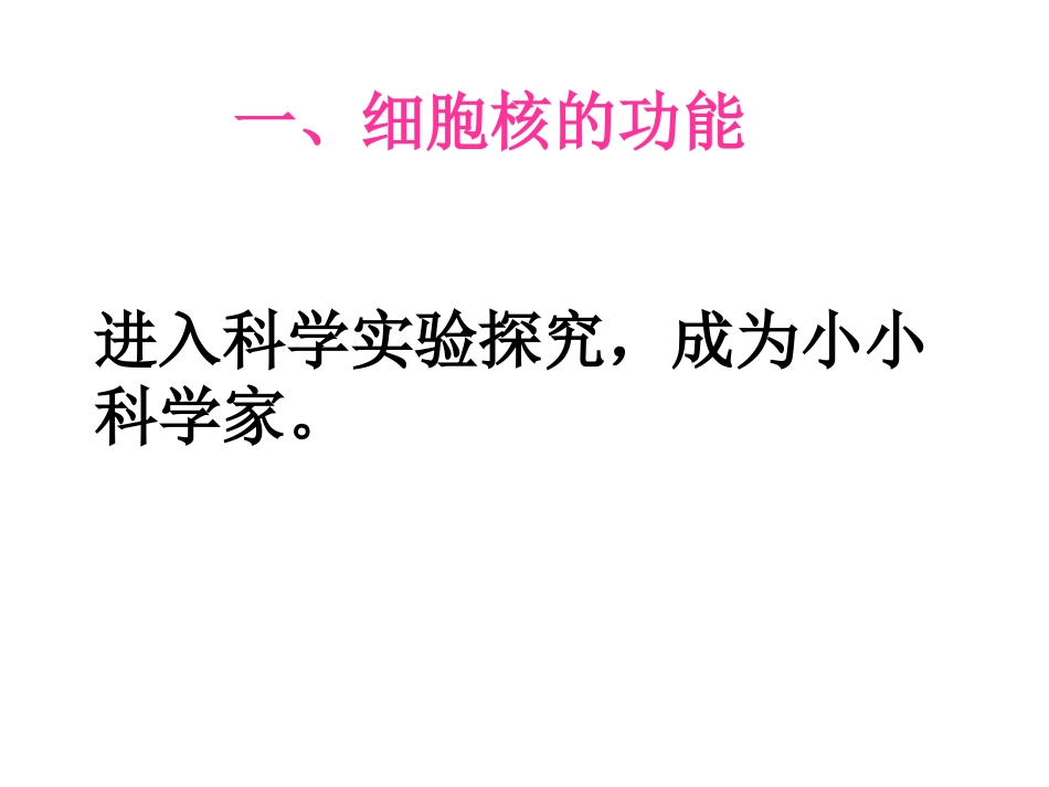 细胞核-系统的控制中心_第2页