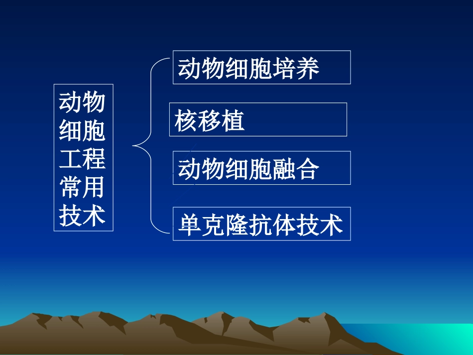 细胞工程PPT_第2页